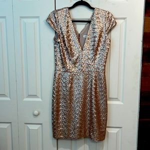 NWT Dress the Population Zoe Dress Blush Pink Size Large
